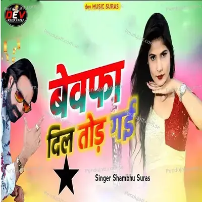 Bewafa Dil Tod Gai - Shambhu Suras album cover 