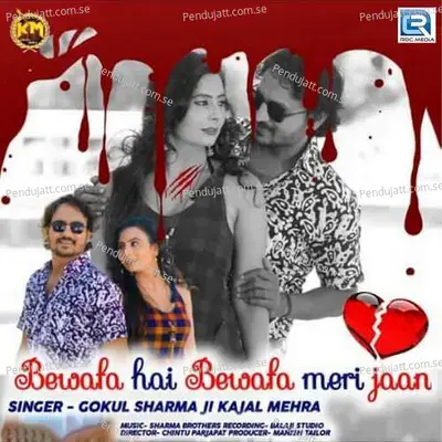 Bewafa Hai Bewafa Meri Jaan - Gokul Sharma album cover 