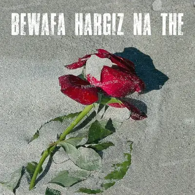 Bewafa Hargiz Na The - Various Artists