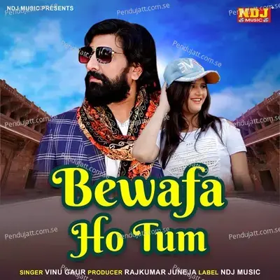 Bewafa Ho Tum - Vinu Gaur album cover 