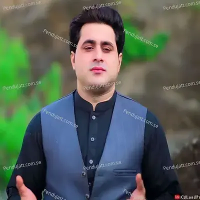 Bewafa Jannana - Shah Farooq album cover 