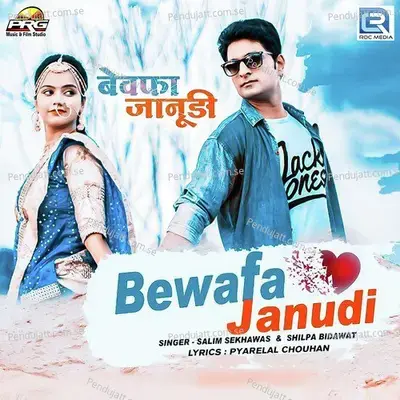Bewafa Janudi - Salim Shekhawas album cover 
