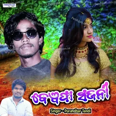 Bewafa Sajani - Purandhar Tandi album cover 