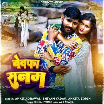 Bewafa Sanam - Ankit Agrawal album cover 