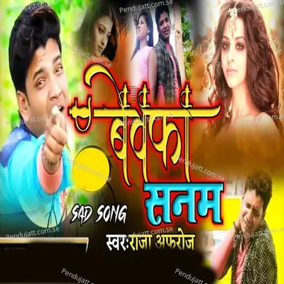 Bewafa Sanam - Raja Afroza album cover 