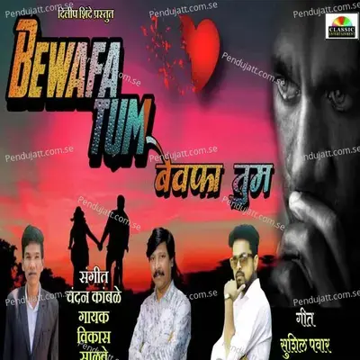 Bewafa Tum - Vikas Salve album cover 
