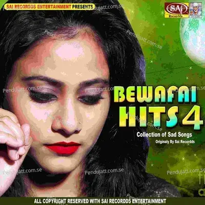 Maine Wafa Tune Ki Bewafai - Rakesh Pandit album cover 