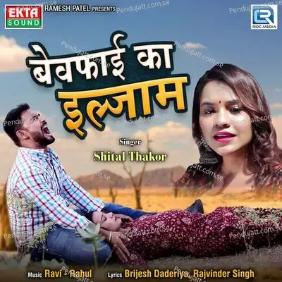 Bewafai Ka Ilzaam - Shital Thakor album cover 