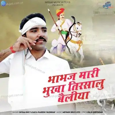 Bhabhaj Mari Bhukha Tirsalu Bailiya - Shyam Bidiyasar album cover 