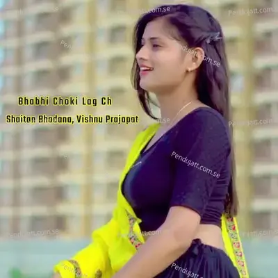 Bhabhi Choki Lag Ch - Shaitan Bhadana album cover 