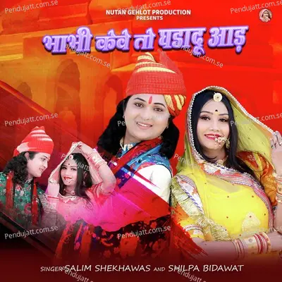 Bhabhi Kewe To Ghadadu Aad - Salim Shekhawas album cover 