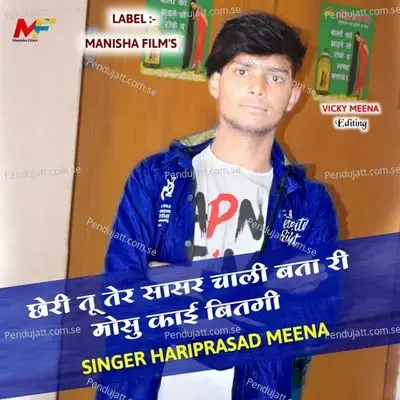 Bhabhi Mahari Bejaayi Roi Re Jaan - Hariprasad Meena album cover 