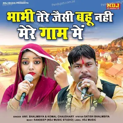 Bhabhi Tere Jaisi Bahu Nahi Mere Gaam Me - Anil Bhalmbiya album cover 