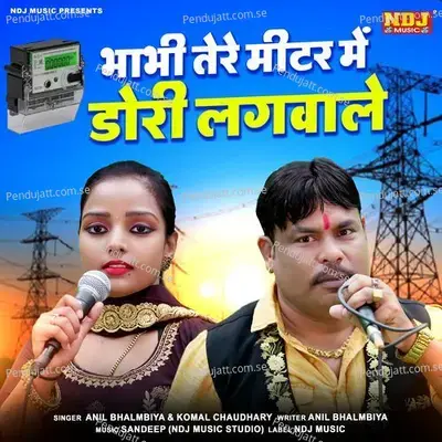 Bhabhi Tere Mitar Me Dori Lagwale - Anil Bhalmbiya album cover 