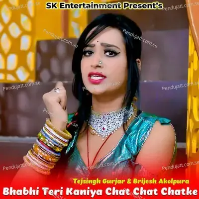 Bhabhi Teri Kaniya Chat Chat Chatke - Tejsingh Gurjar album cover 