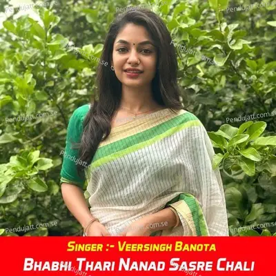 Bhabhi Thari Nanad Sasre Chali - Veersingh Banota album cover 