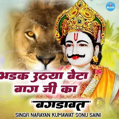 Bhadak Uthya Beta Bag Ji Ka - Narayan Kumawat album cover 