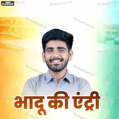 Bhadu Ki Entry - Raju Swami album cover 