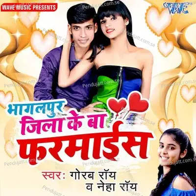 Bhagalpur Jila Ke Farmaiesh - Uttam Singh