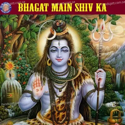 Shiv Chalisa - Sanjivani Bhelande album cover 