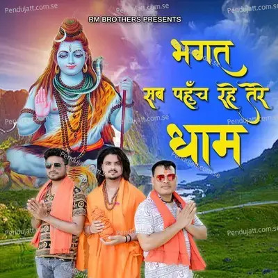 Bhagat Sab Pahuch Rahe Tere Dham - Satveer Gurjar album cover 