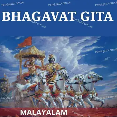 Bhagavat Gita - Chapter 9 - Nidhin Lal album cover 