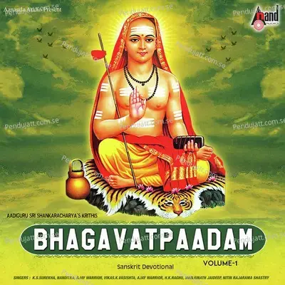 Sri Shivashtakam - Vikas K. Vasishta album cover 