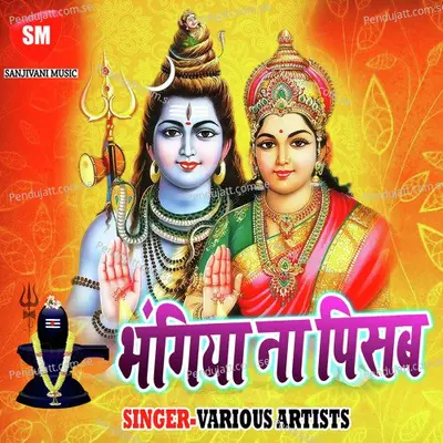 Bhagiya Ham Na Pisab - Puja album cover 