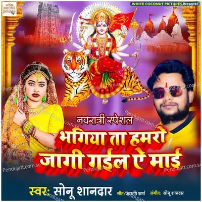 Bhagiya Ta Hamro Jagi Gayil Ae Mayi - Sonu Shandar album cover 