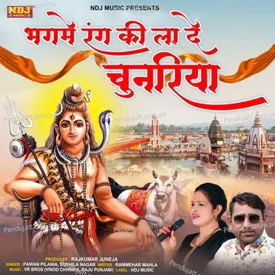 Bhagme Rang Ki La De Chunariya - Pawan Pilania album cover 