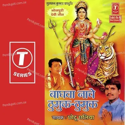 Bhagwa Nache Thumuk Thumuk - Chhotu Chhaliya cover album