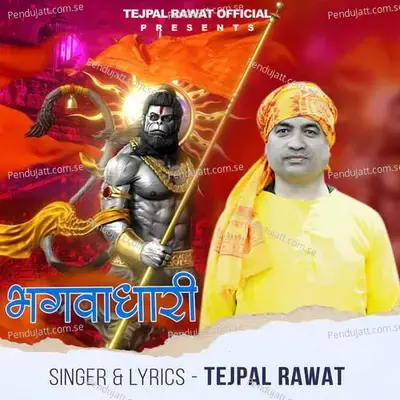 Bhagwadhari - Tejpal Rawat album cover 