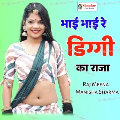 Bhai Bhai Re Diggi Ka Raja - Raj Meena album cover 