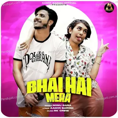 Bhai Hai Mera - Aamin Barodi album cover 