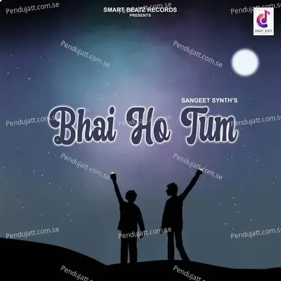 Bhai Ho Tum - Sangeet Synth album cover 