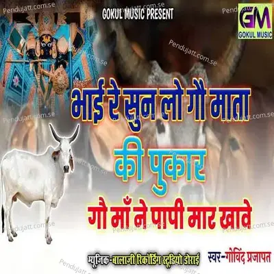 Bhai Re Sun Lo Gau Mata Ki Pukar - Govind Parjapat album cover 