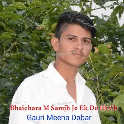 Bhaichara M Samjh Je Ek Do Hi Ch - Gauri Meena Dabar album cover 