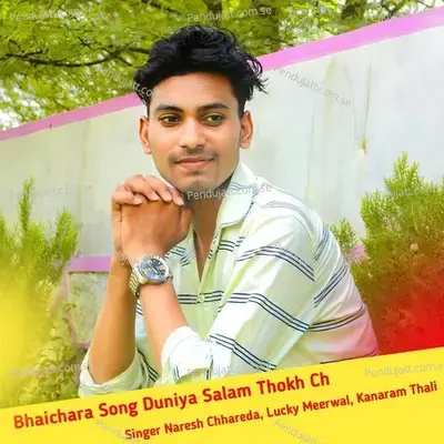 Bhaichara Song Duniya Salam Thokh Ch - Naresh Chhareda album cover 