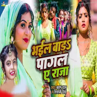 Bhail Bada Pagal Ye Raja - Shravan Pal album cover 