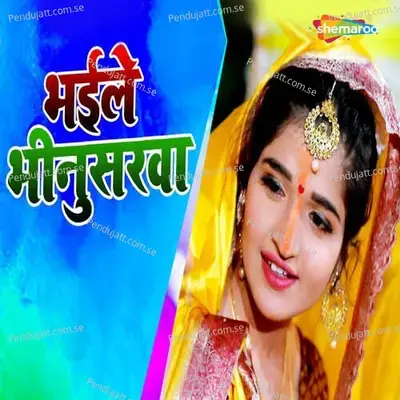 Bhaile Bhinusarawa - Anjali Bhardwaj album cover 