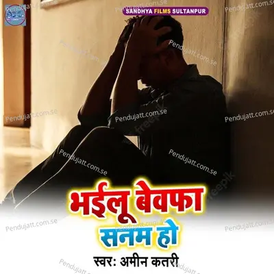 Bhailu Bewfa Snm Ho - Ameen Katari album cover 