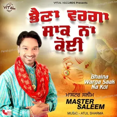 Dil Wala Hauka - Master Saleem album cover 