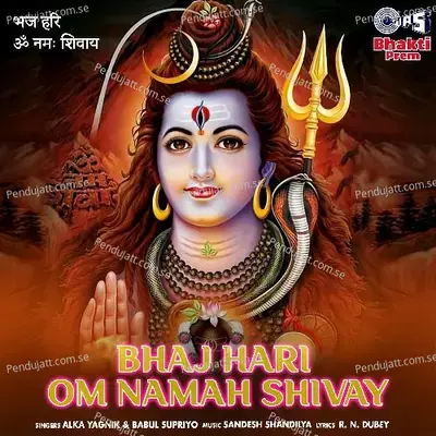 Bhaj Hari Om Namah Shivay (Shiv Bhajan) - Alka Yagnik cover album