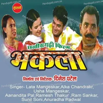 Pani Damor De - Alka Chandrakar album cover 