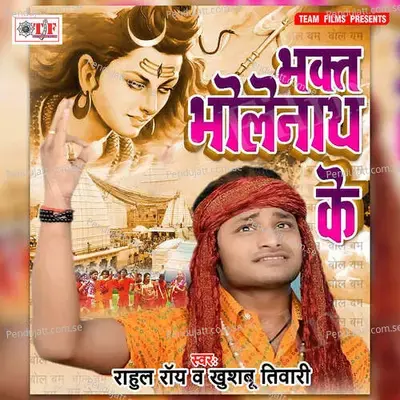 Rishuwa Kake Matric Pass - Rahul Roy album cover 