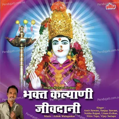 Jivdani Aai Mauli - Amit Sawant album cover 