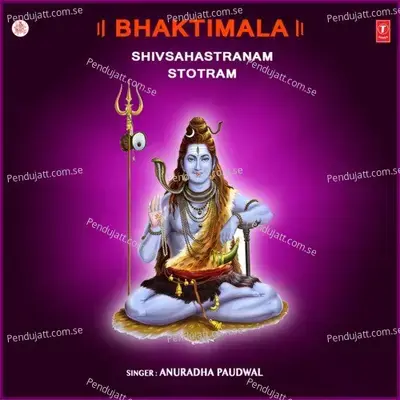 Bhaktimala-Shivsahastranam Stotram - Anuradha Paudwal cover album