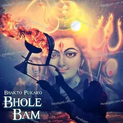 Bhole Tere Damru Ne - Tarun Toofani album cover 