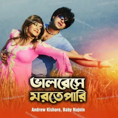 Ami Tomar Diwana - S I Tutul album cover 