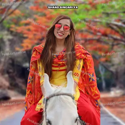 Bhandi Gadrari - Shaad Singariya album cover 